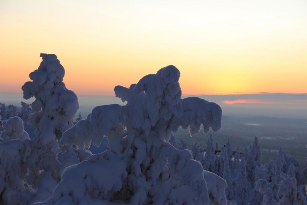 Motel Willis West Ruka Dış mekan fotoğraf